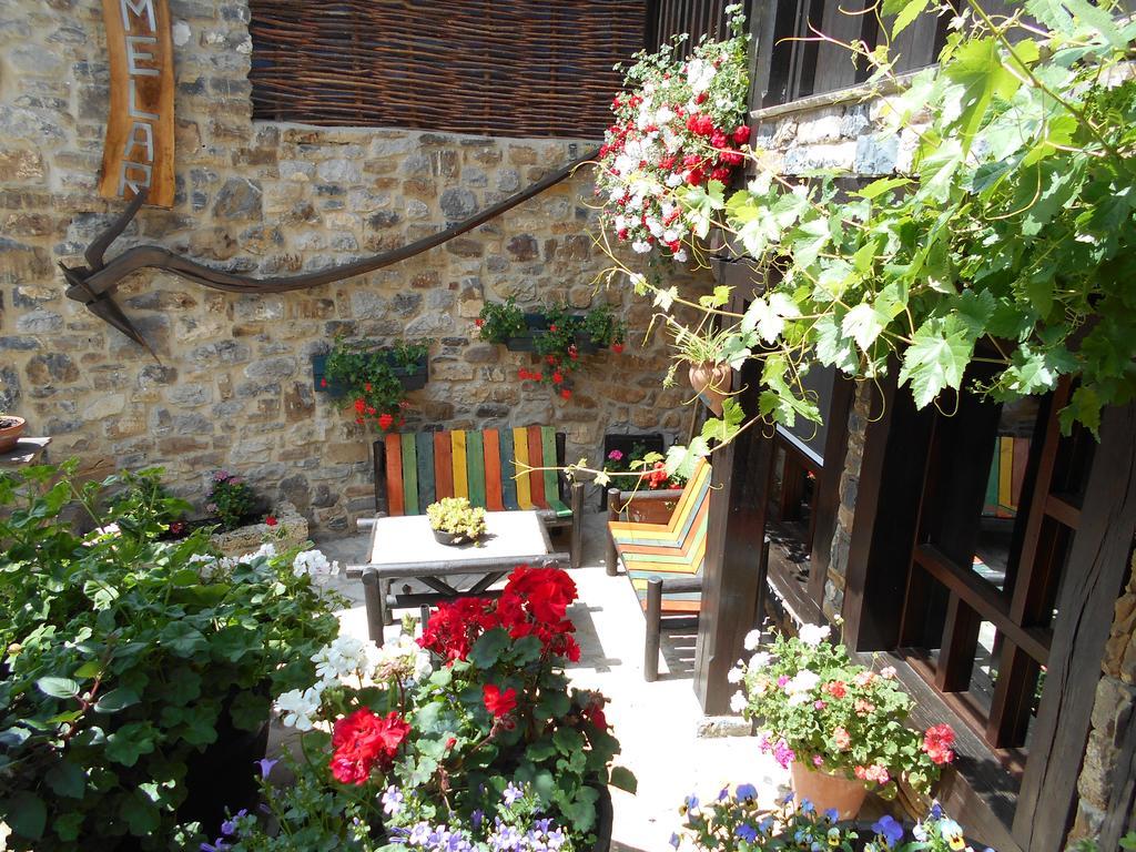 Apartamentos Samelar Camaleño Kültér fotó