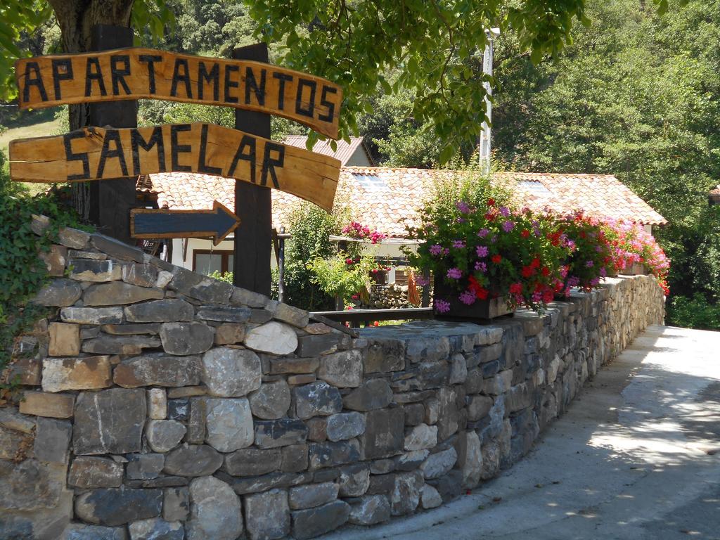 Apartamentos Samelar Camaleño Kültér fotó