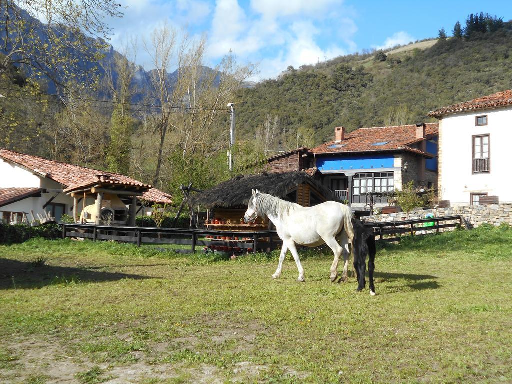 Apartamentos Samelar Camaleño Kültér fotó