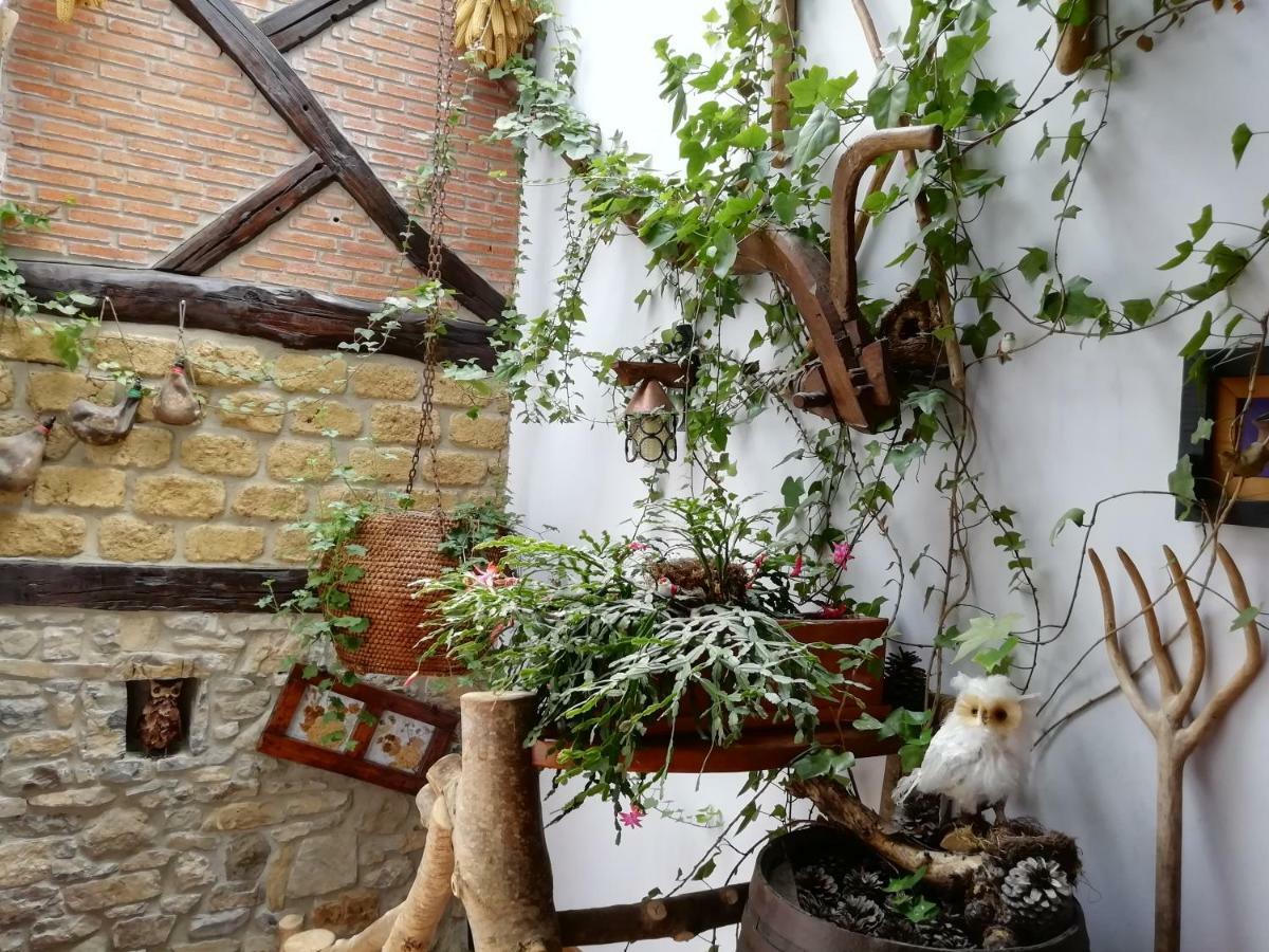 Apartamentos Samelar Camaleño Kültér fotó